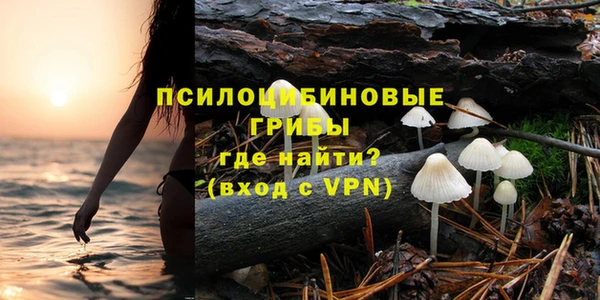 МДПВ Горнозаводск