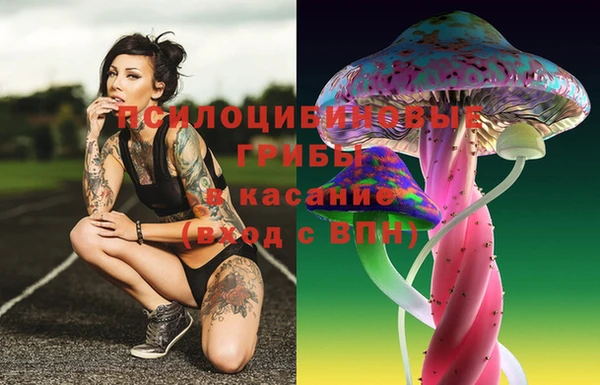 МДПВ Горнозаводск