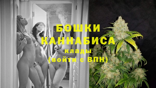 МДПВ Горнозаводск
