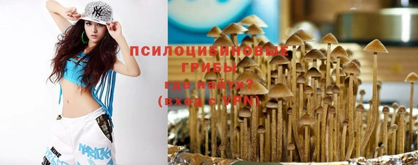 МДПВ Горнозаводск