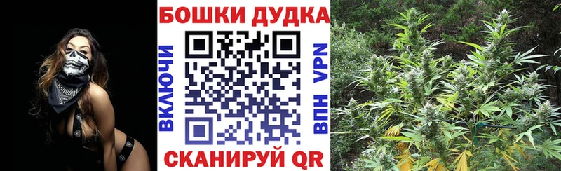 Бошки марихуана марихуана  shop телеграм  Шагонар 